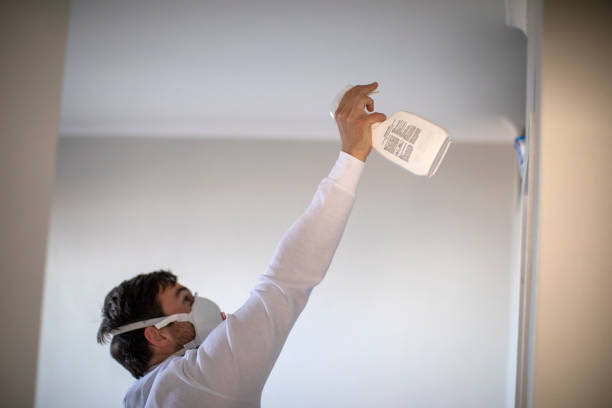 Best Mold Removal Near Me  in Panthersville, GA
