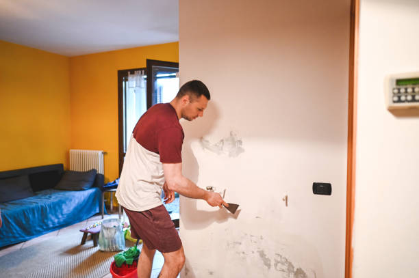 Best Home Mold Removal  in Panthersville, GA