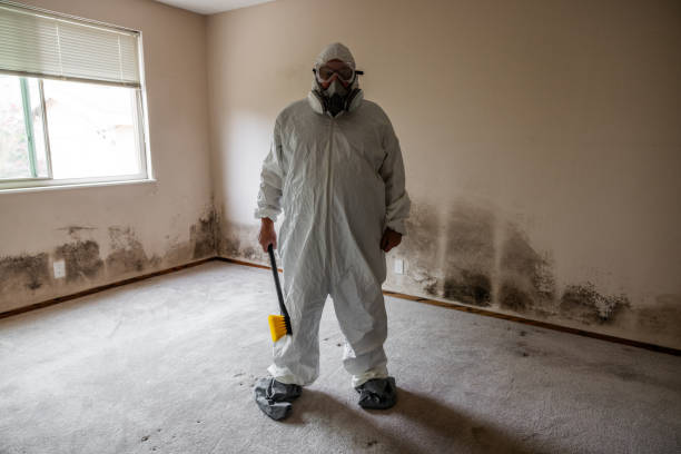 Best Mold Testing  in Panthersville, GA