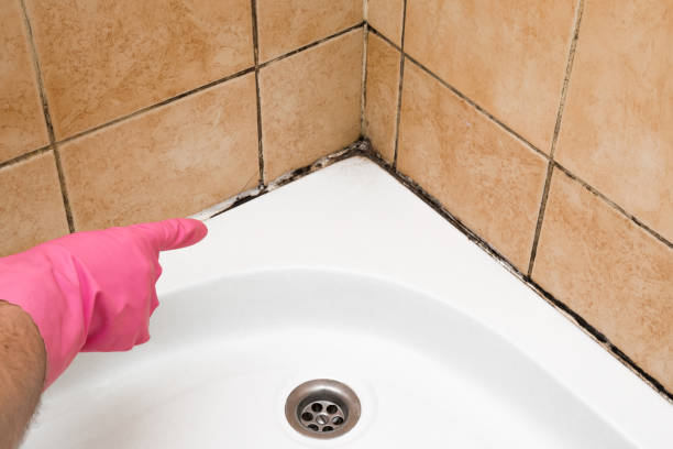 Best Mold Removal Process  in Panthersville, GA